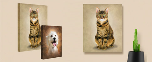 Cat Portrait on gallery wrapped canvas