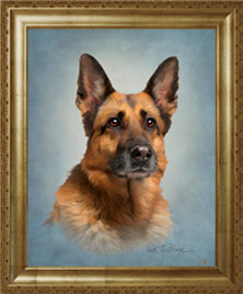 Dog Portrait in a frame