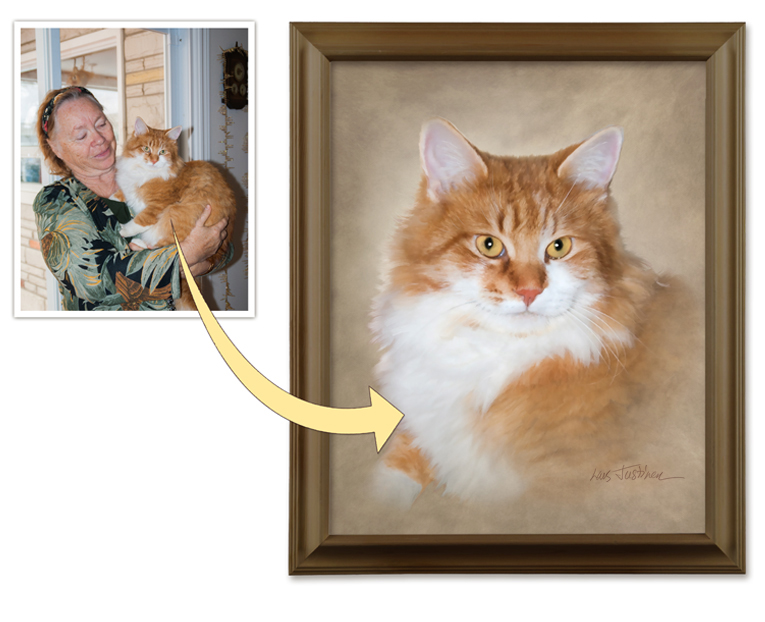 Cat Pet Portrait