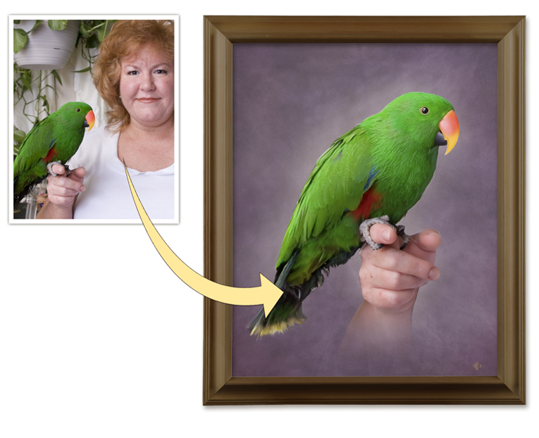 Bird Pet Portrait